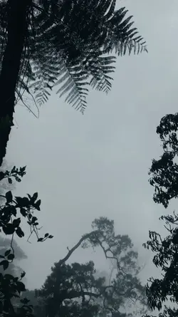 Di dekapmu
