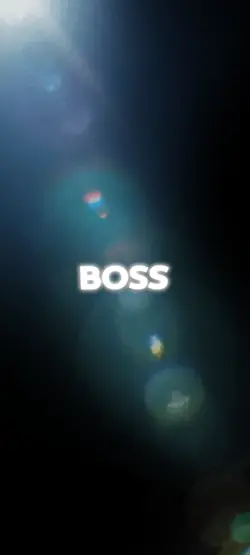 i'm the boss