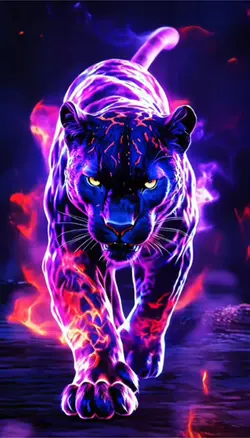 Wallpaper HD