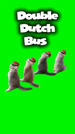 Double Dutch Bus