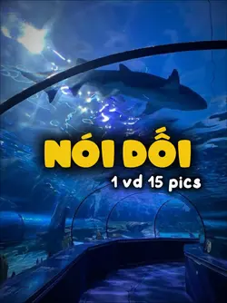 Sao phải khóc khi 