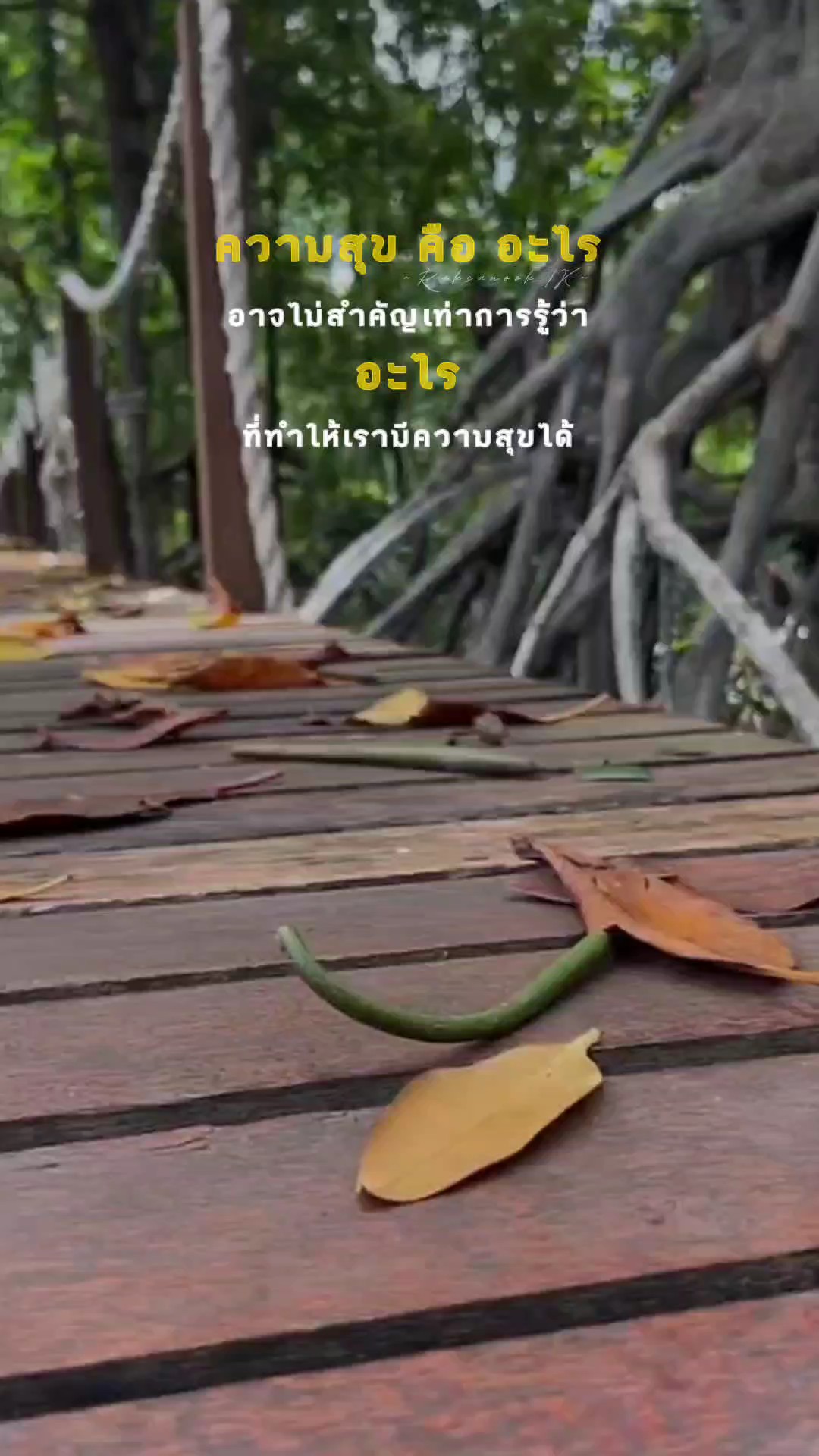 ความสุขคืออะไร
