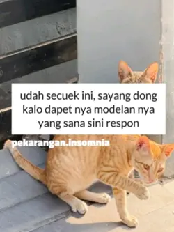 foto kata kata geser