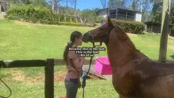 Goodbye my love ❤️‍🩹