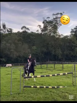 Our 105 BB attempt 🤣