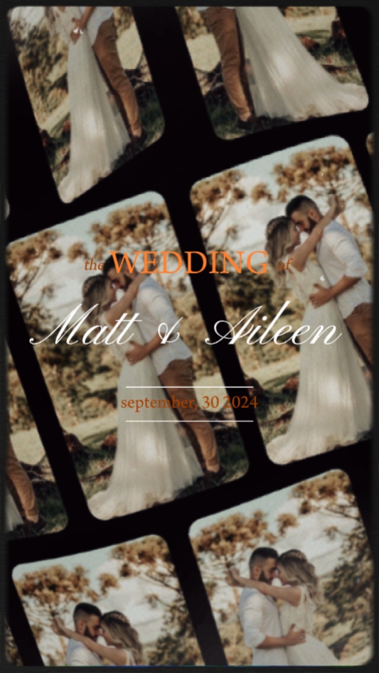 pre wedding video