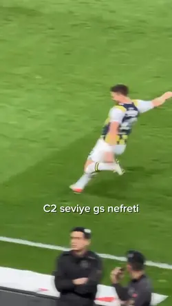 C2 seviye 