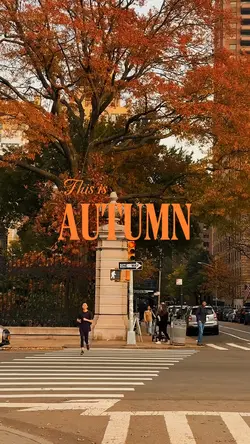 this is autumn 2025