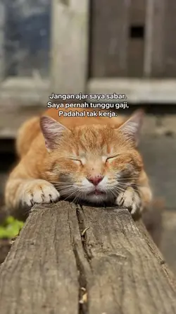 Story