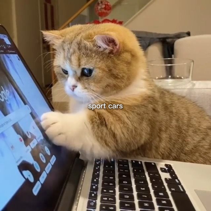 New template 