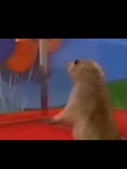 Exaggerated stare 🤣🤣