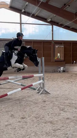 SMOOTH SLOMO❣️😍