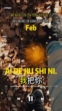Ai De Jiu Shi Ni