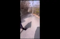 思い出