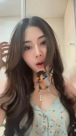 kicau mania dangak