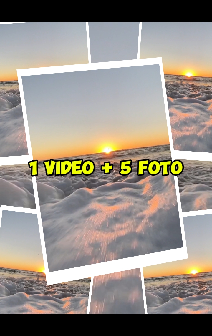 1 vidéo 5 photos 