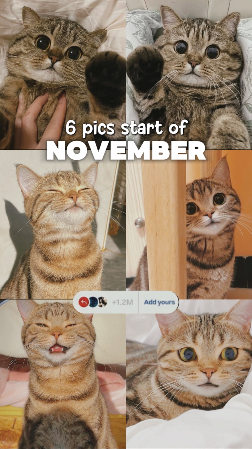6 PICS START OF NOV