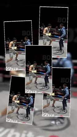 Boxing Lovers 