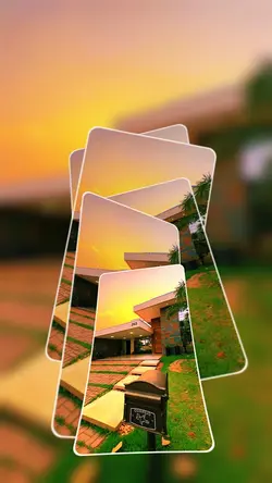 Real Estate 
