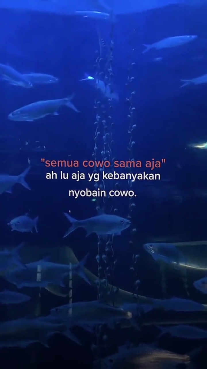 Semua cowo sama aja🔥