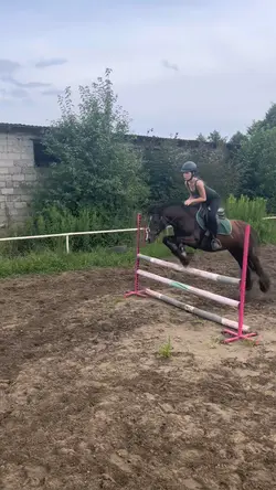 slowmo