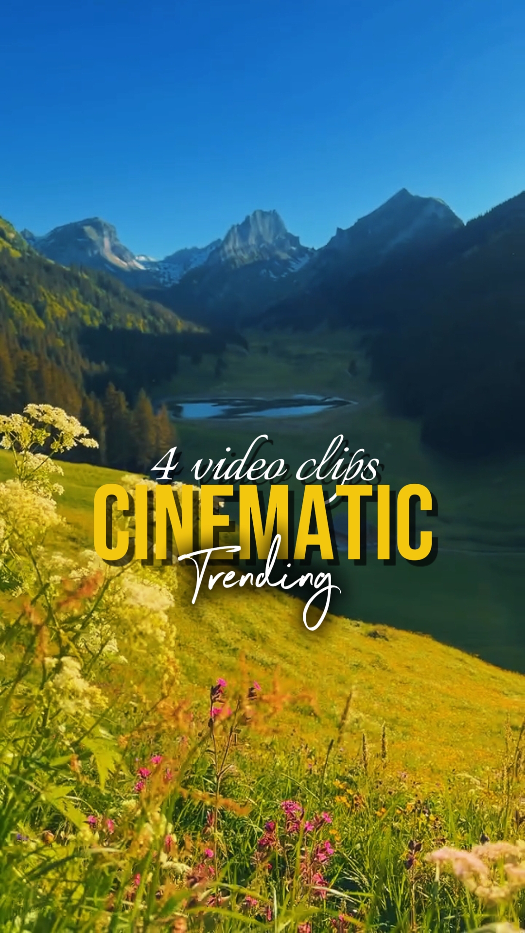 TREND CINEMATIC