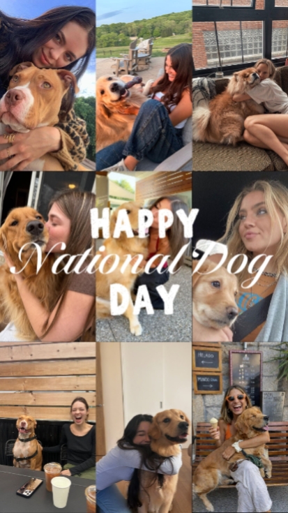 National Dog Day