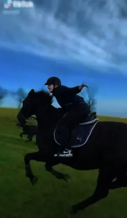 Galloping 🤩