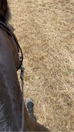 It’s almost 2026 😆