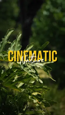 CINEMATIC