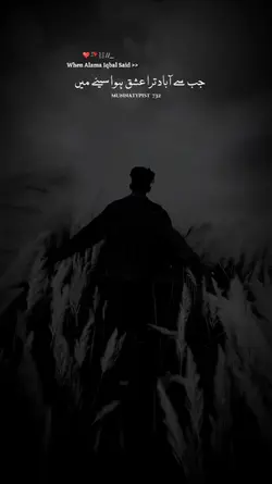 Tariq Jameel sb said