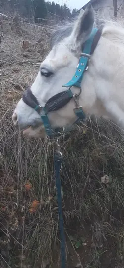 c tlm mieux le centr