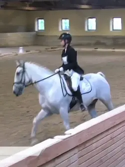 COSMO DOING DRESSAGE