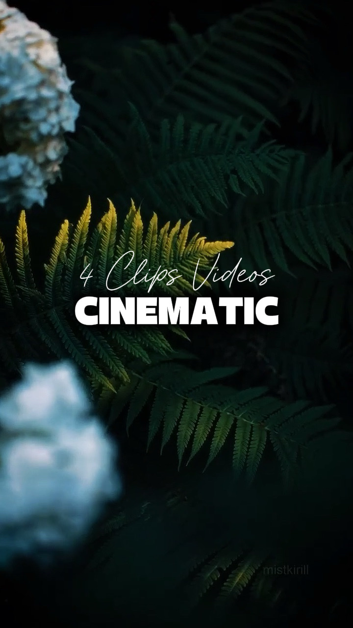 4 Videos Cinematic 