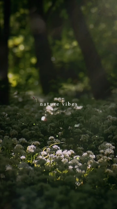 nature vibes
