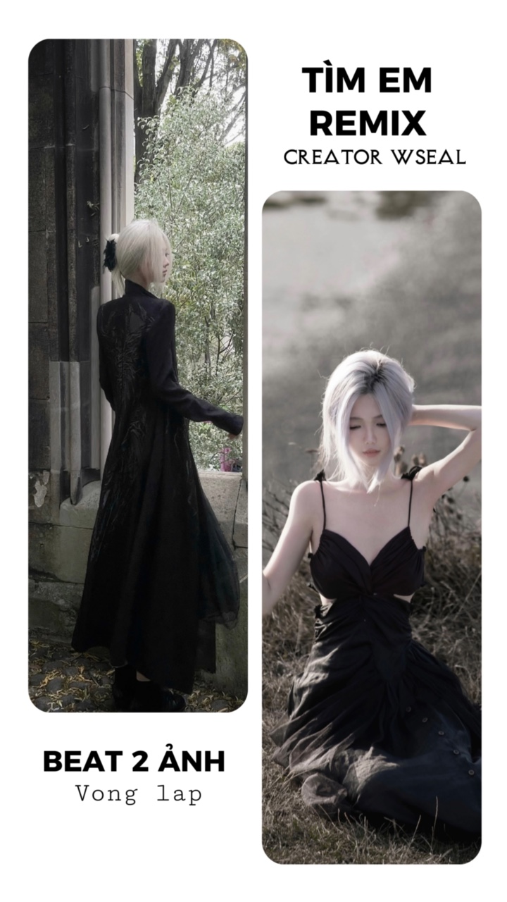 Tìm em remix