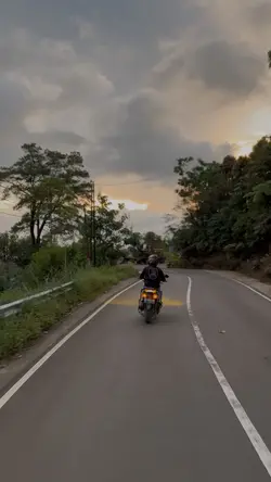 cinematic trip