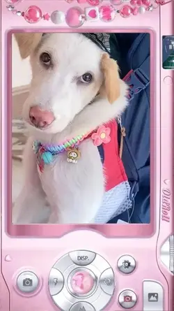 กรอบคลิปน่ารักๆ