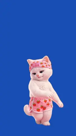 Cat/Gato.