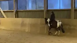 Reiten Slowmo