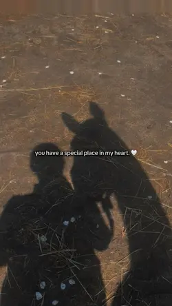 you 🤍
