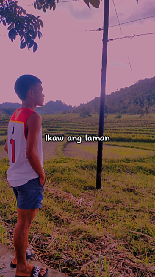 ikaw ang laman