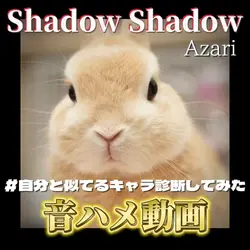 Shadow Shadow