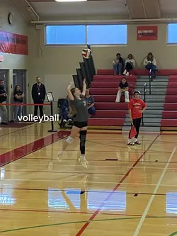 Volleybal