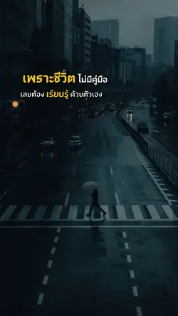 ชีวิตไม่มีคู่มือ