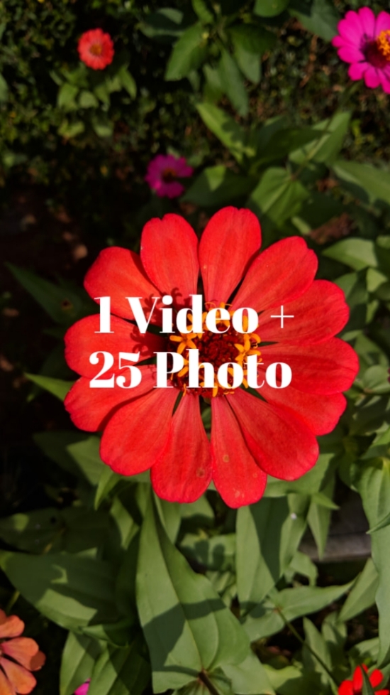 1 VIDEO 25 PHOTO