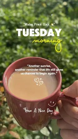 Tuesday Morning 🤍