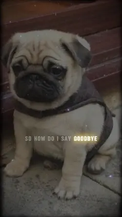 How Do I Say Goodbye