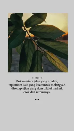 Story wa 22