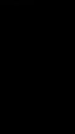 احمق یودم